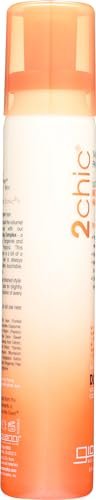 GIOVANNI 2chic Ultra-Volume Big-Body Hair Spray - Daily Volumizing Formula with Papaya & Tangerine Butter for Fine, Limp, Thin Hair - No Parabens, Color Safe - 5 fl oz - görsel 10