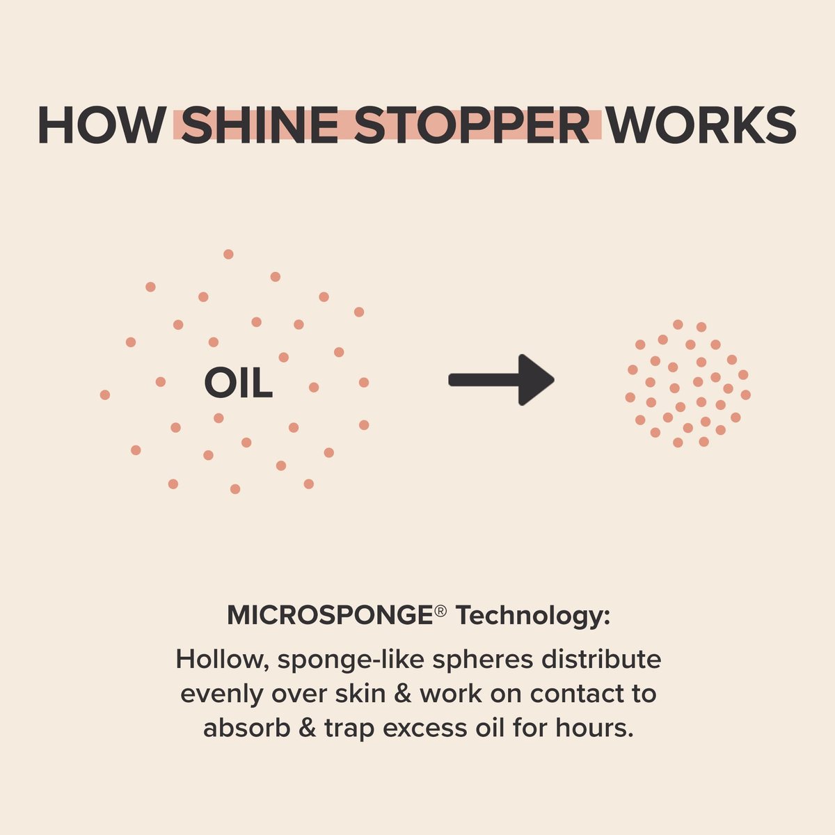 Paula's Choice SHINE STOPPER Instant Matte Finish Oil Control Primer – Pore Minimizer for Oily Skin, 1 oz Avelisse