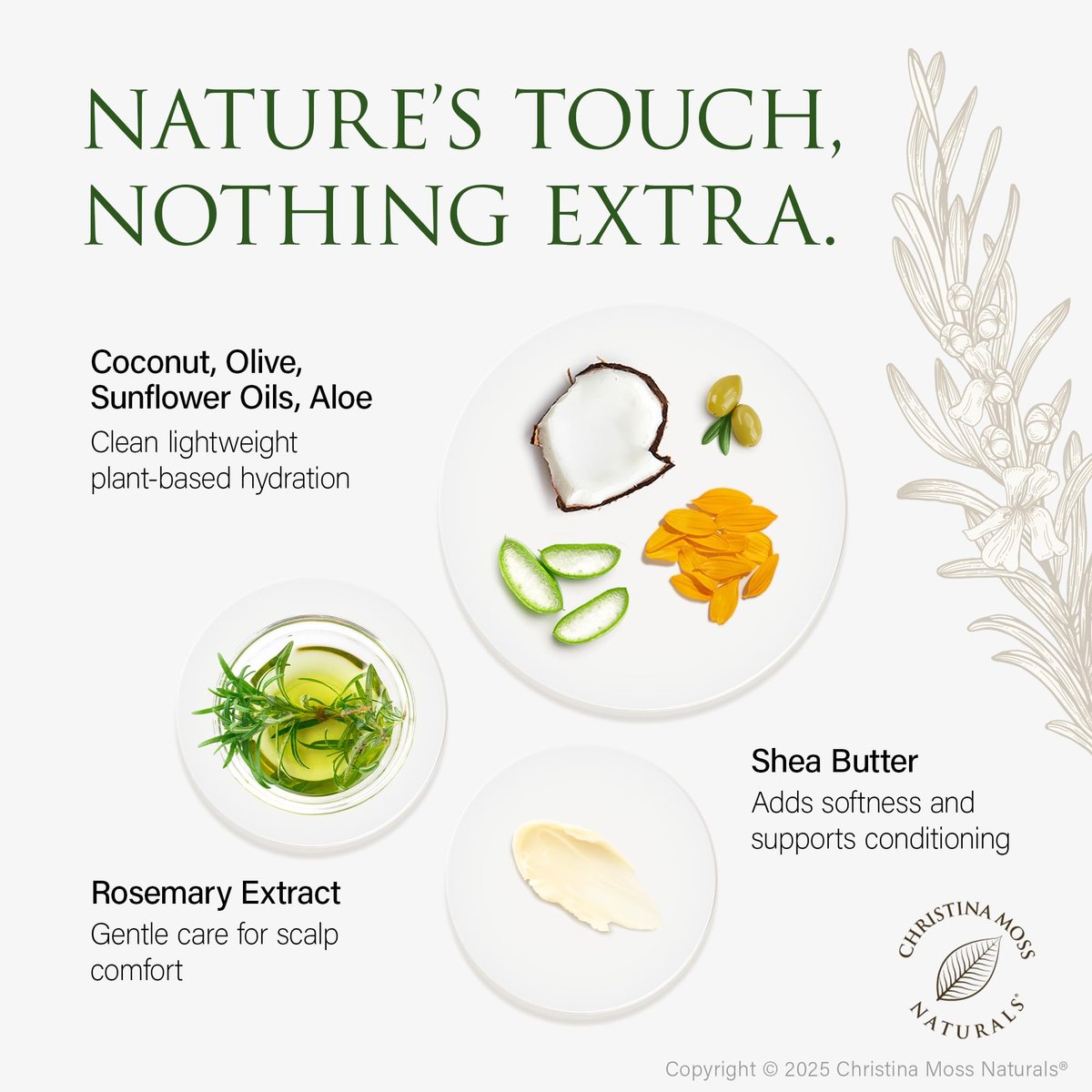 Christina Moss Naturals Unscented Shampoo - Natural & Organic, Sulfate-Free, Paraben-Free, Cruelty-Free, Vegan, 8 oz Avelisse