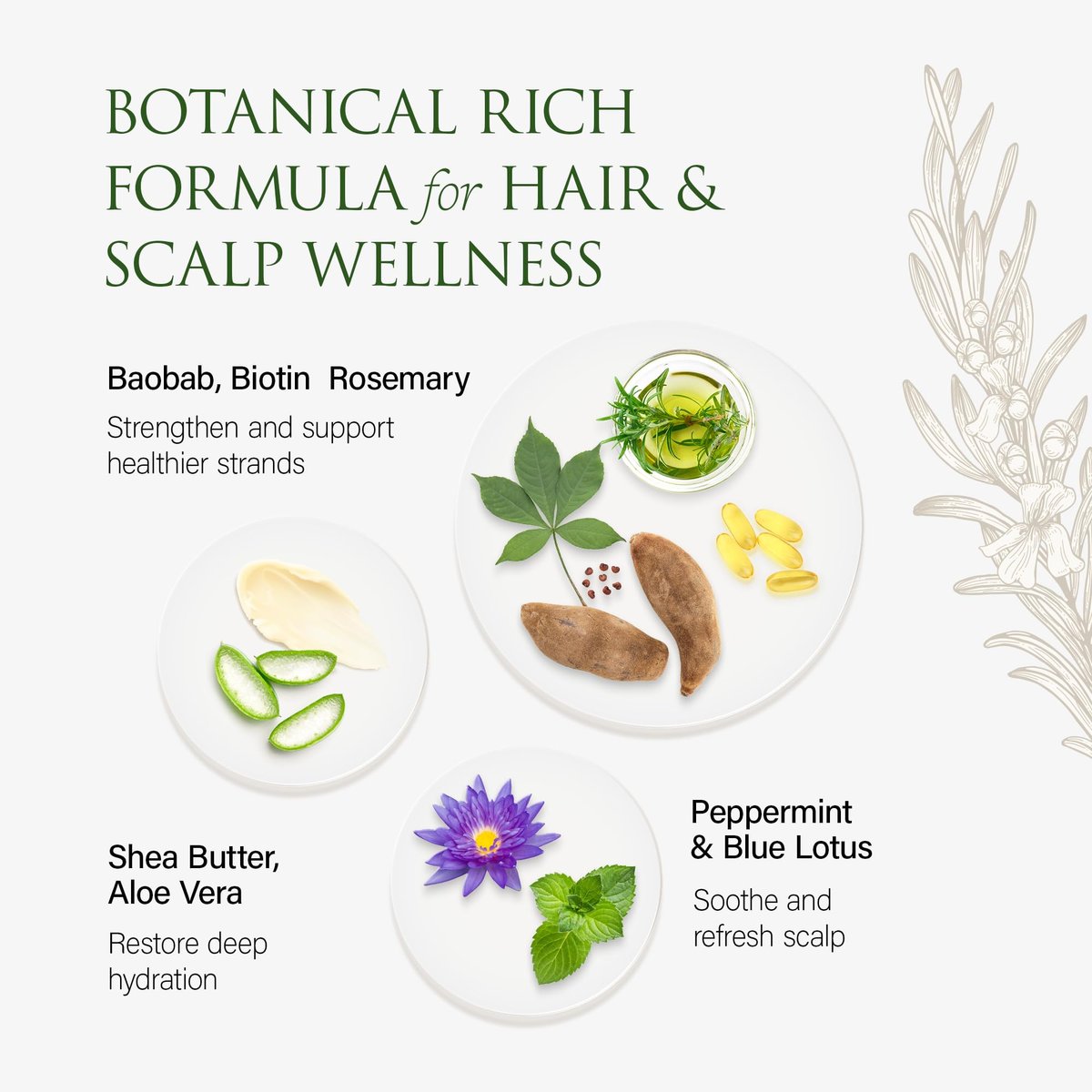 Christina Moss Naturals Organic Conditioner - No Silicones, No Parabens - 8 oz Avelisse