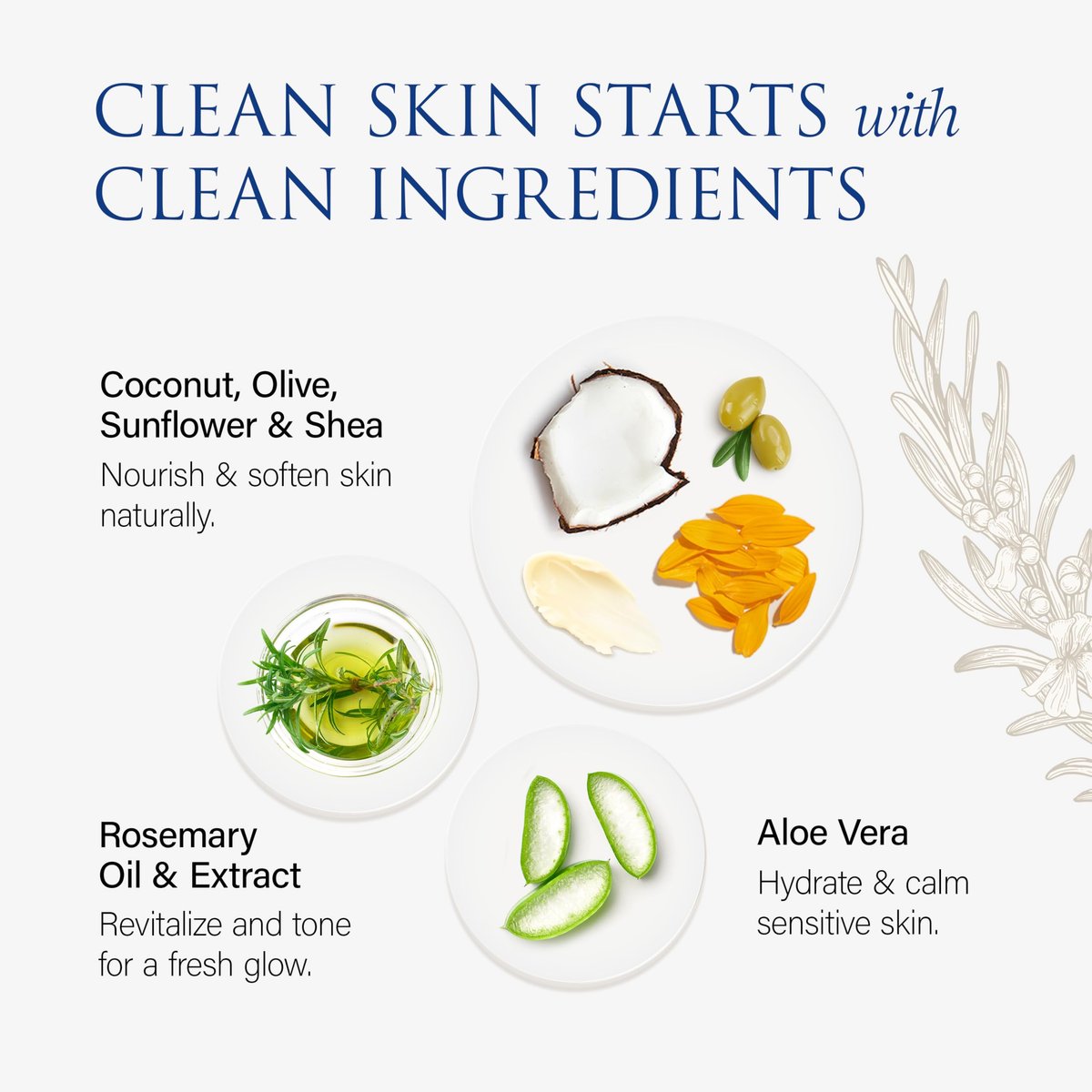 Christina Moss Naturals Gentle Facial Cleanser – Organic Face Wash for All Skin Types, Fragrance-Free, Paraben-Free, Sulfate-Free, 4 oz Avelisse