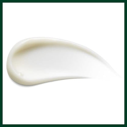 Aveda Shampure Body Lotion with Certified Organic Olive Oil, Calming Lavender Aroma, 6.7 fl oz Avelisse