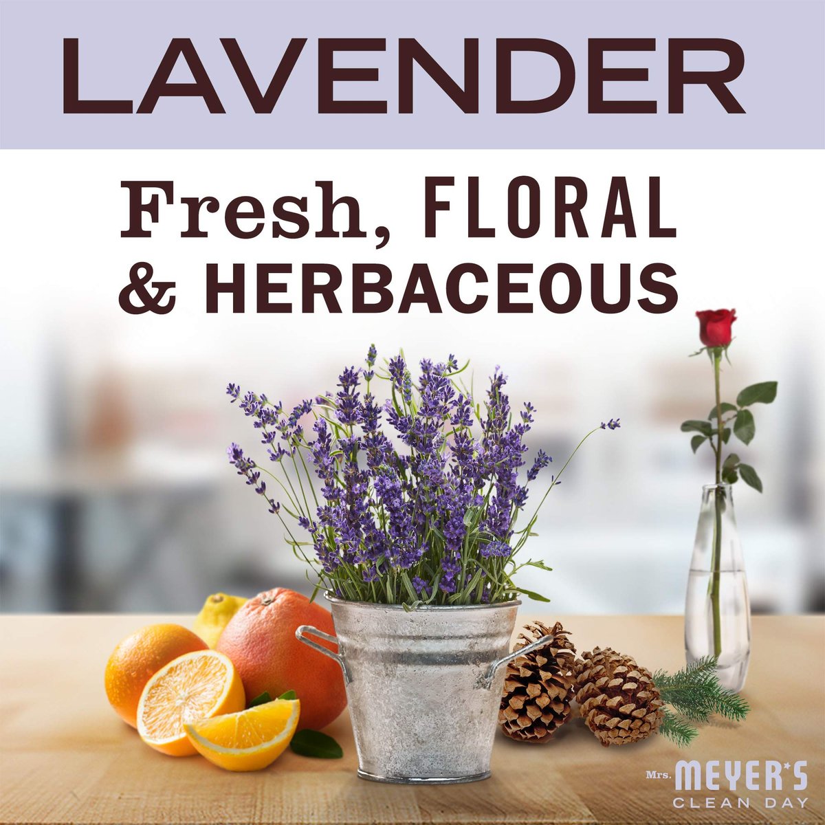 Mrs. Meyer's Clean Day Foaming Hand Soap, Lavender Scent, 10 Ounce Bottle - görsel 3