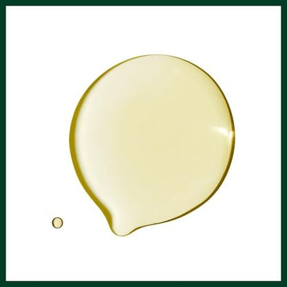Aveda Dry Remedy Daily Moisturizing Oil - Instantly Moisturizes Dry, Brittle Hair - 90% Naturally Derived with Organic Buriti Oil - Silicone Free, 1 Fl Oz Avelisse