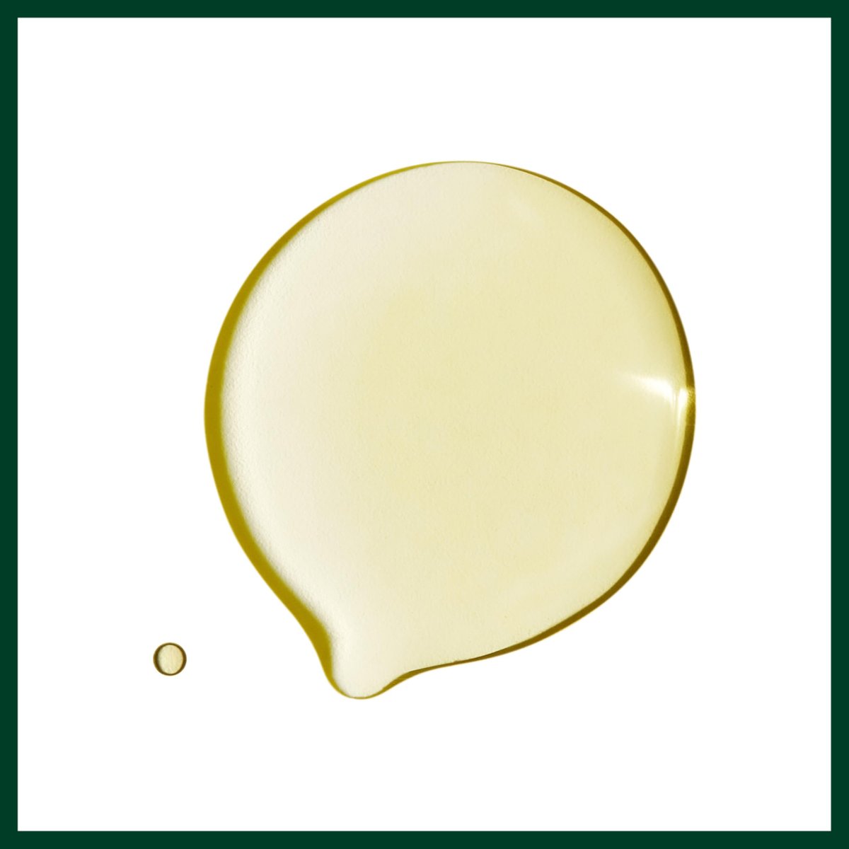Aveda Dry Remedy Daily Moisturizing Oil - Instantly Moisturizes Dry, Brittle Hair - 90% Naturally Derived with Organic Buriti Oil - Silicone Free, 1 Fl Oz Avelisse