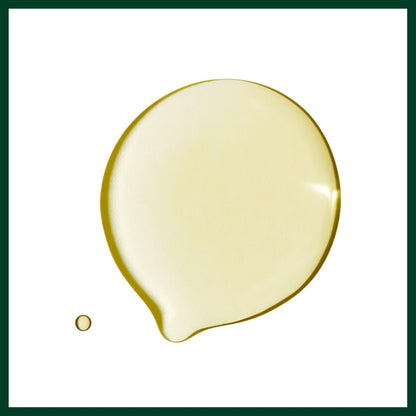 Aveda Dry Remedy Daily Moisturizing Oil - Instantly Moisturizes Dry, Brittle Hair - 90% Naturally Derived with Organic Buriti Oil - Silicone Free, 1 Fl Oz Avelisse