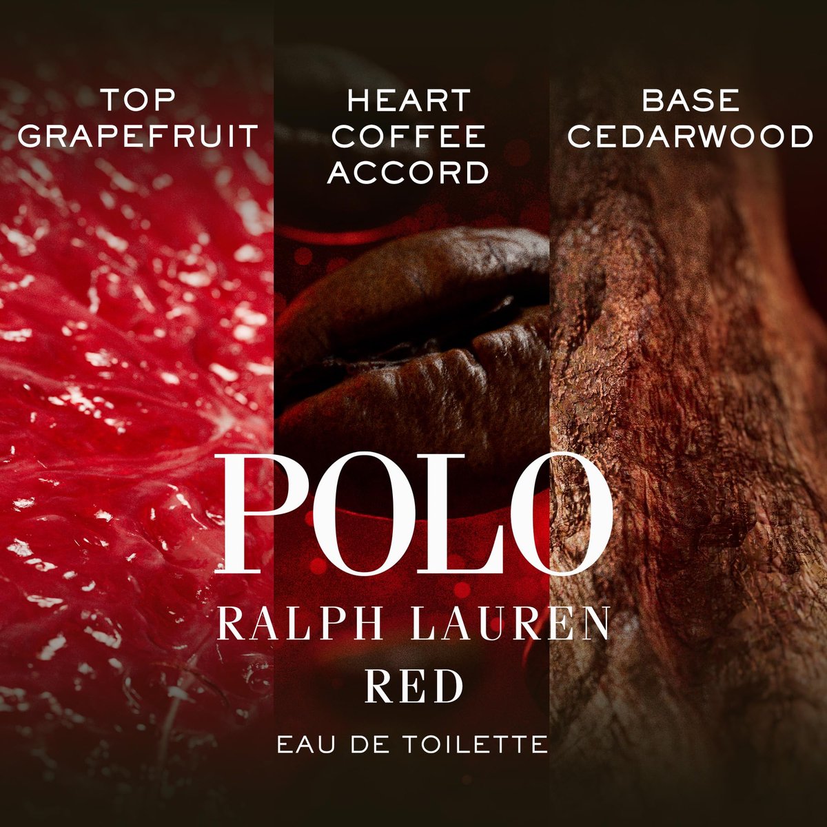 Ralph Lauren Polo Red Men's Deodorant - Woody & Spicy Long-Lasting Alcohol-Free 2.6 oz Avelisse