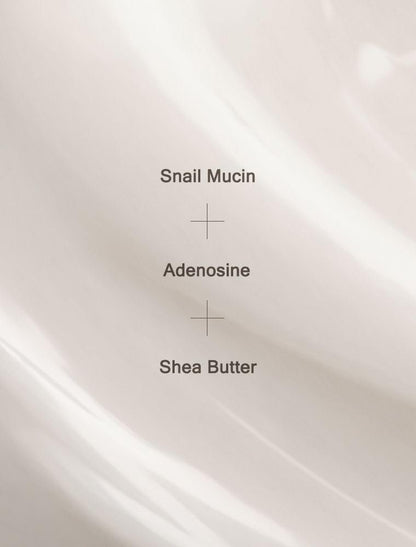 MIZON Snail Wrinkle Care Sleeping Pack - Overnight Firming Mask with Snail Mucin, Adenosine & Shea Butter for Damaged Skin & Fine Lines (2.7 fl oz) Avelisse