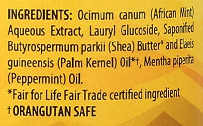 Alaffia Authentic African Black Soap - All-in-One Body Wash, Shampoo & Shaving Soap, Peppermint, 16 oz - Fair Trade, No Parabens, Non-GMO, No SLS Avelisse