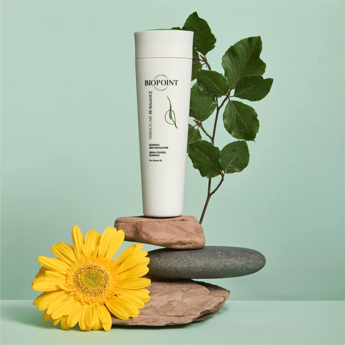 BIOPOINT Rebalancing Shampoo for Oily Scalp and Dry Ends - Dermocare Sebum Regulating Shampoo for Greasy Hair - Oily Scalp Treatment, 7.05 Fl Oz - görsel 7