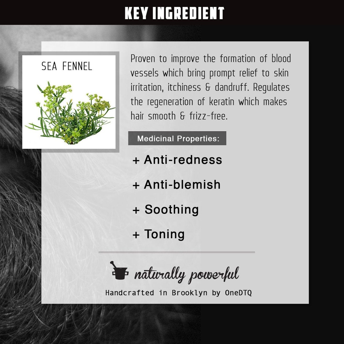 OneDTQ Beard Wash for Itchy Beard & Beardruff – Natural – Soothes, Softens, Deep Cleans – 4.7 FL OZ Avelisse