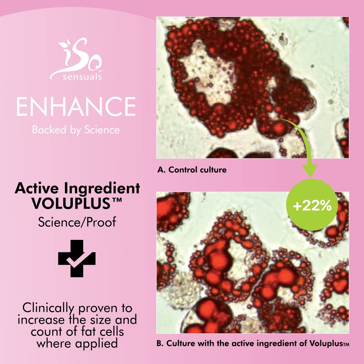 IsoSensuals ENHANCE Rapid-Action Breast Enlargement Cream – Lifting & Firming, 2-Month Supply (6 oz) Avelisse
