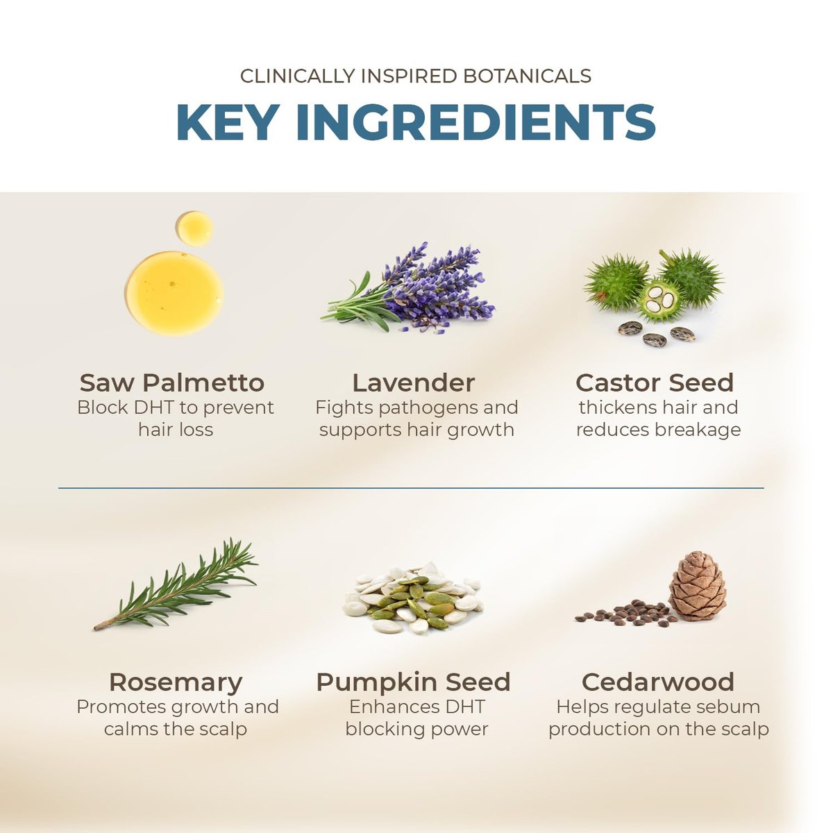 Pumpkin Seed Oil with Saw Palmetto Extract for Hair Growth – 10X Potency Targeted Scalp Treatment with Castor, Lavender Scent & Rosemary Oil for Stronger, Fuller Hair (4 oz) Avelisse
