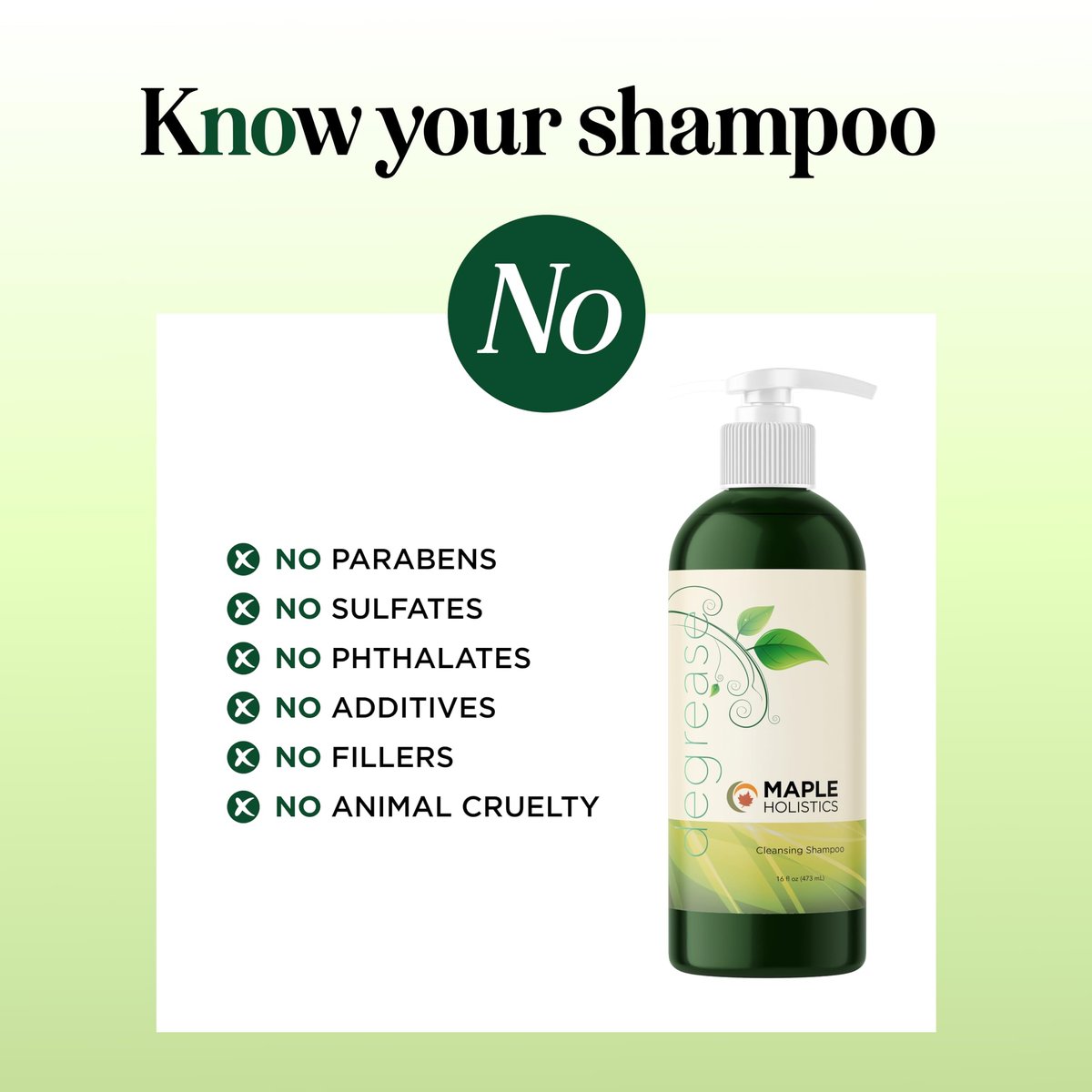 Oily Hair Shampoo for Greasy Hair - Clarifying Shampoo with Purifying Essential Oils - Deep Cleansing for Oily Scalp & Dry Scalp - Maple Holistics (16 Fl Oz) Avelisse