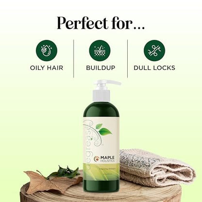 Oily Hair Shampoo for Greasy Hair - Clarifying Shampoo with Purifying Essential Oils - Deep Cleansing for Oily Scalp & Dry Scalp - Maple Holistics (16 Fl Oz) Avelisse