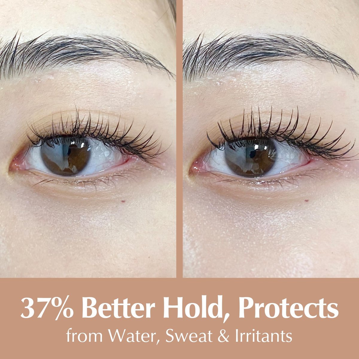 BL Lashes Crystal Drop Lash Sealant - Long-Lasting Waterproof Lash Extension Coating, Clear 0.24 fl.oz Avelisse