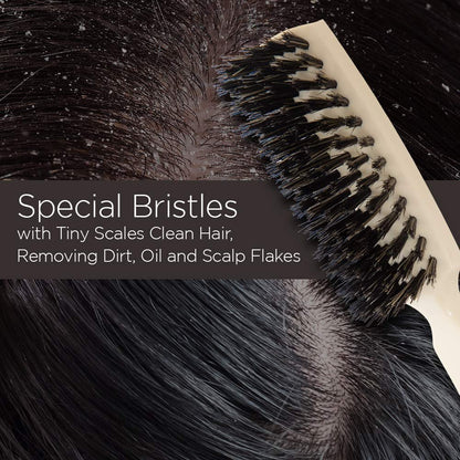 Fuller Brush Lustre Professional Hairbrush – Premium Boar Bristle for Shiny, Smooth Hair Avelisse