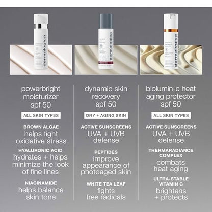 Dermalogica PowerBright Overnight Cream - Night Time Face Moisturizer to Restore Skin and Fade Dark Spots, 1.7 oz Avelisse
