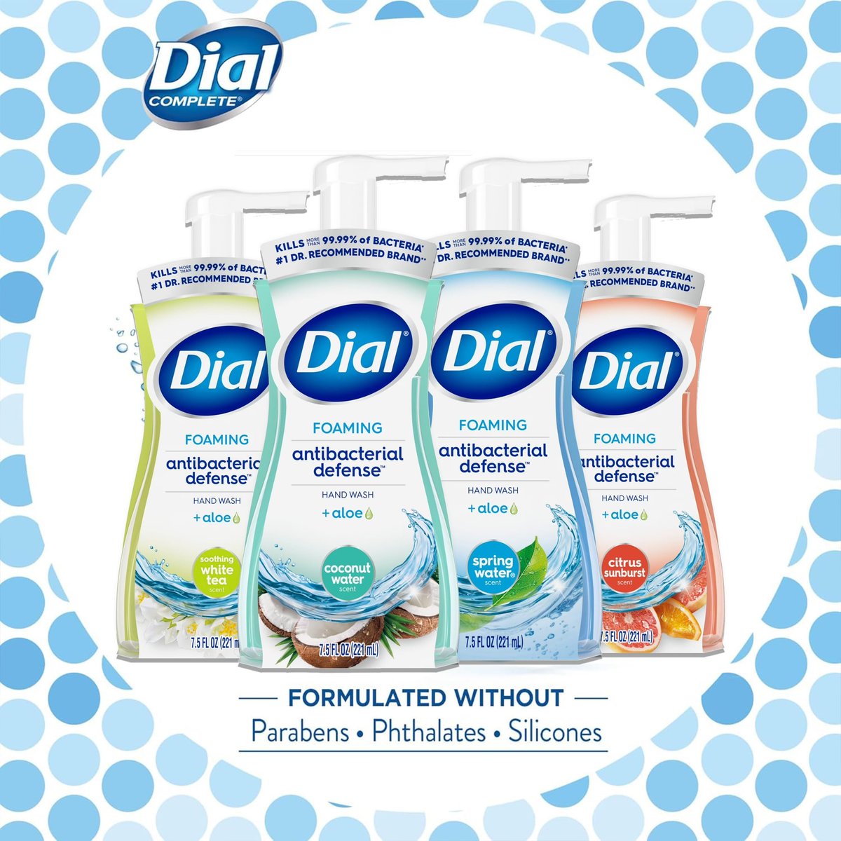 Dial Complete Foaming Anti-Bacterial Hand Wash Variety 4-Pack - Assorted Scents, 7.5 oz Each Avelisse