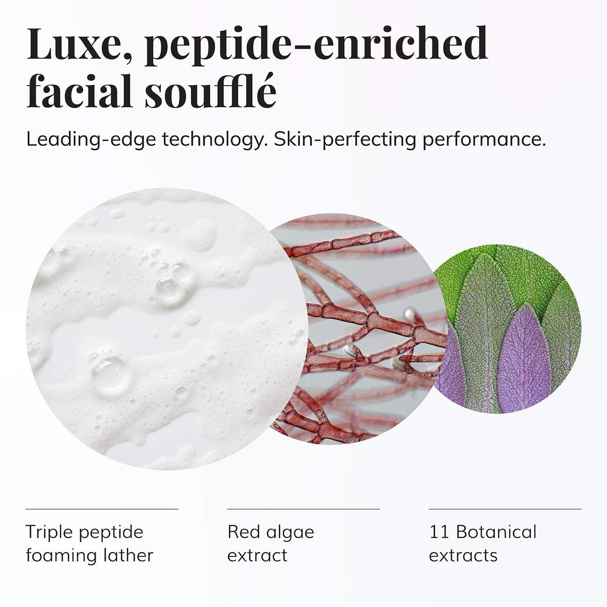 Le Mieux Peptide Foam Cleanser - Age Defying Face Wash with Marine Collagen & 3 Peptides for Glowing Skin, Foaming Cleanser for Dry Skin, 6 oz Avelisse