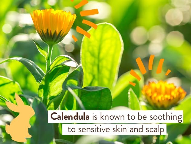 Babo Botanicals Moisturizing Plant-Based 2-in-1 Bubble Bath & Wash - Organic Calendula & Oat Milk - Hypoallergenic, Vegan - for Babies, Kids & Sensitive Skin - 15 oz - görsel 7