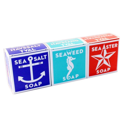 Swedish Dream 3-Pack Mix Set Soap Bar - Sea Salt, Seaweed & Sea Aster, 4 oz Each - Natural Hand & Body Soap, Off-White Avelisse