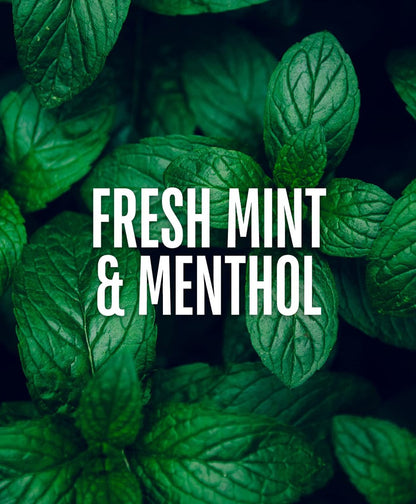GO247 Mint Thickening Shampoo – Energizing Daily Cleanser with Peppermint & Menthol – Helps Support Fuller, Thicker-Looking Hair – Fresh Mint Scent, 8 Fl Oz Avelisse