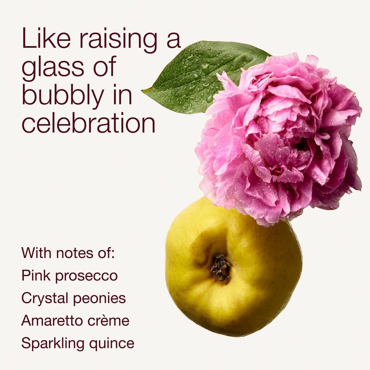 Bath & Body Works A Thousand Wishes Fine Fragrance Mist - Long-Lasting Body Spray for Women, Sparkling Prosecco & Peony Scent, 8 fl oz - görsel 6