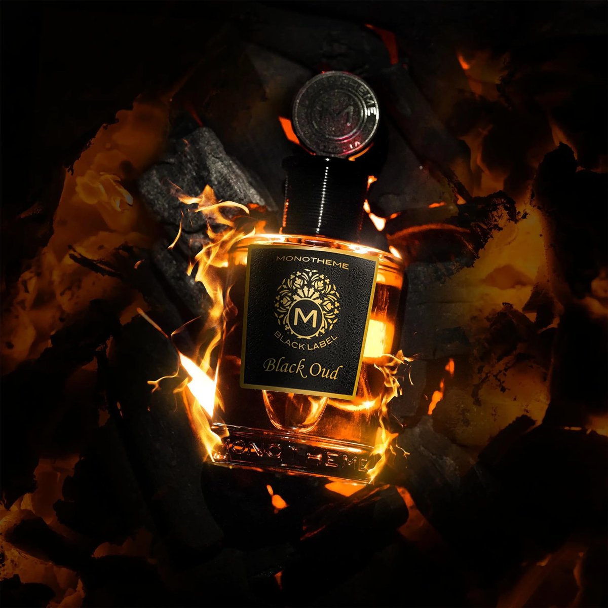 Monotheme Black Oud Eau de Parfum for Men - 3.4 oz (100 ml) - Woody Spicy Fragrance - görsel 5