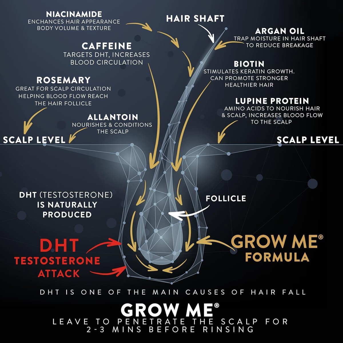 Watermans Grow Me Organic Hair Growth Shampoo with Biotin, Rosemary, Caffeine & Argan Oil for Fuller, Thicker-Looking Hair – 8.45 fl oz Avelisse