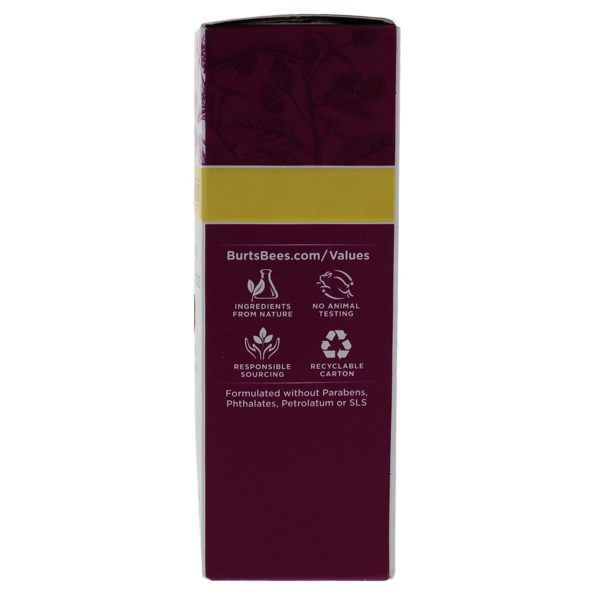 Burt's Bees Renewal Intensive Firming Serum with Bakuchiol – Natural Retinol Alternative, 1 oz Avelisse