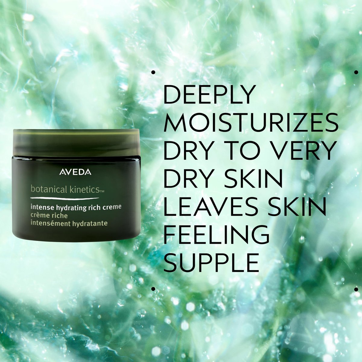 Aveda Botanical Kinetics Intense Hydrating Rich Creme - Face Cream for Dry to Very Dry Skin with Cupuaçu Butter, 1.7 fl oz Avelisse