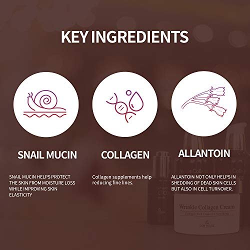 The Skin House Wrinkle Collagen Cream - Anti-Aging Face Moisturizer (1.7 oz) - görsel 10