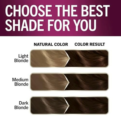 Schwarzkopf Keratin Permanent Hair Dye Cream 2.6 Rich Soft Black – Professional Gray Coverage with Bond Enforcing System Avelisse