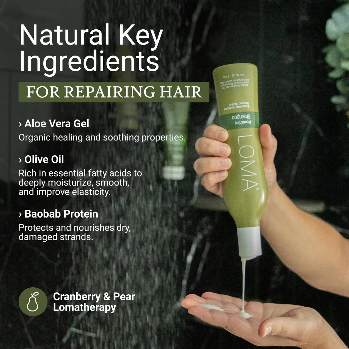 LOMA Nourishing Shampoo - 12 oz | Gentle Daily Shampoo for Healthy Hair Avelisse