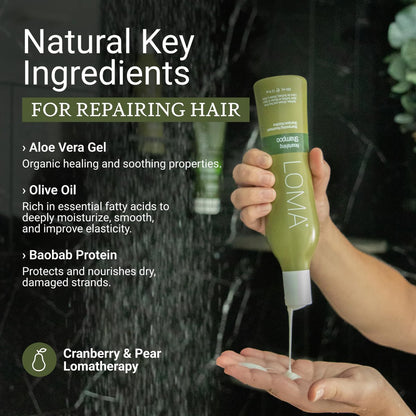 LOMA Nourishing Shampoo - 12 oz | Gentle Daily Shampoo for Healthy Hair Avelisse