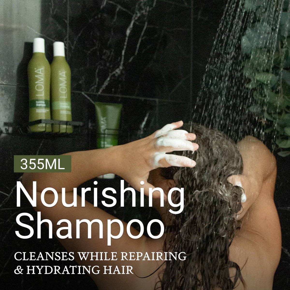 LOMA Nourishing Shampoo - 12 oz | Gentle Daily Shampoo for Healthy Hair Avelisse