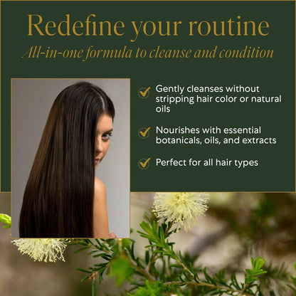 WEN by Chaz Dean Cleansing Conditioner - Tea Tree, 16 oz - Sulfate-Free Co-Wash for Fine or Curly Hair Avelisse