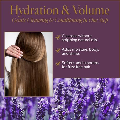 WEN by Chaz Dean Lavender Cleansing Conditioner, 16 fl oz - Gentle Daily Hair Cleanser & Conditioner Avelisse