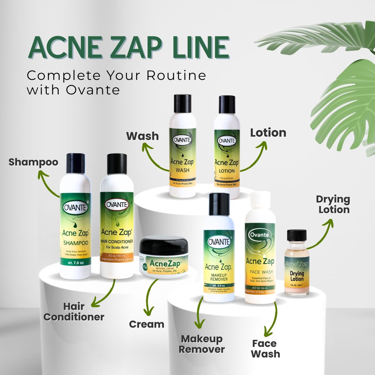 Acne Zap Shampoo for Scalp Acne – Clear Scalp from Zits and Pimples, 6 oz Avelisse