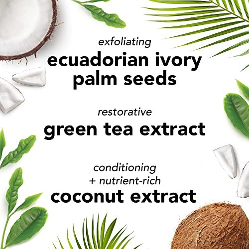 Mario Badescu Botanical Exfoliating Scrub – Gentle Face Scrub with Ivory Palm Seeds & Green Tea Extract for All Skin Types, 3.4 Fl Oz Avelisse