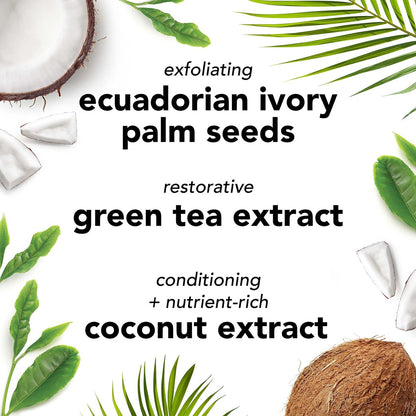 Mario Badescu Botanical Exfoliating Scrub – Gentle Face Scrub with Ivory Palm Seeds & Green Tea Extract for All Skin Types, 3.4 Fl Oz Avelisse