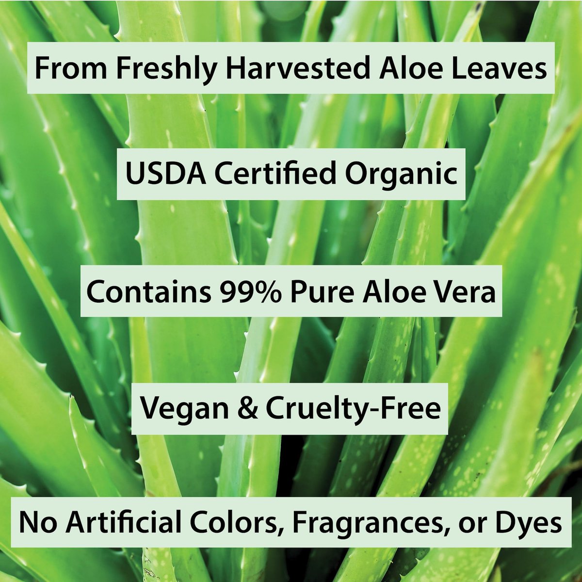 Organic Aloe Vera Gel for Skin, Face, Body, After Sun Care - USDA Certified Organic, 12 fl. oz. Avelisse
