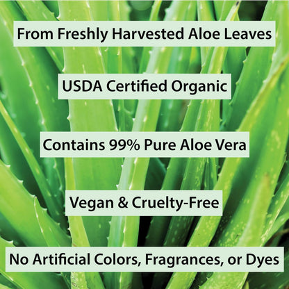 Organic Aloe Vera Gel for Skin, Face, Body, After Sun Care - USDA Certified Organic, 12 fl. oz. Avelisse