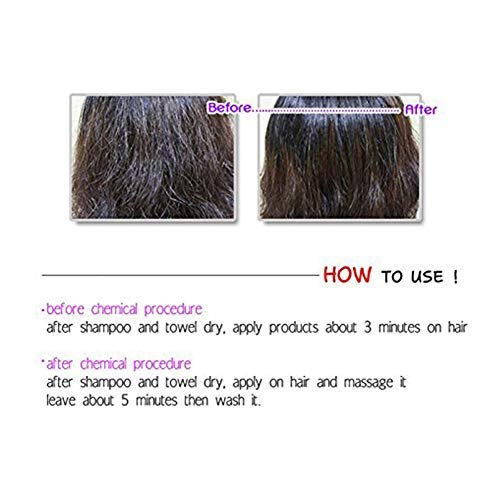 Ex Ceramide Korea Hair Treatment PPT Treatment 1000ml – Deep Conditioner for Damaged Hair Avelisse
