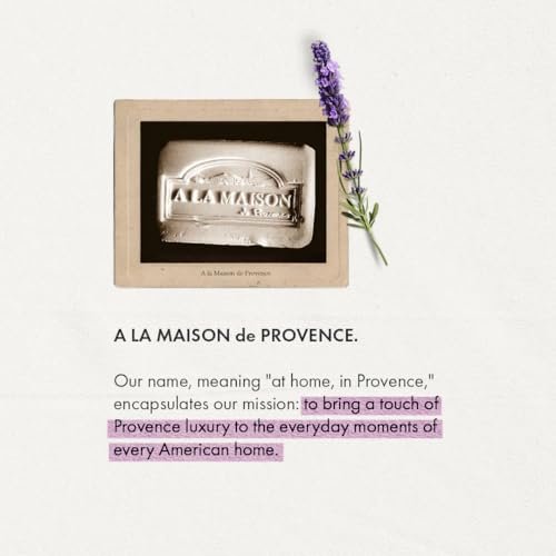 A LA MAISON Fresh Sea Salt Lotion - 8 fl oz Silver Avelisse