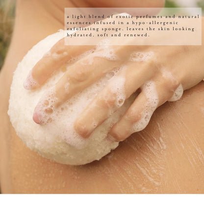 kai Body Buffer – 2 Count Exfoliating Bath Sponges with Built-in Cleanser, Gardenia Scent, Vegan & Cruelty-Free Avelisse