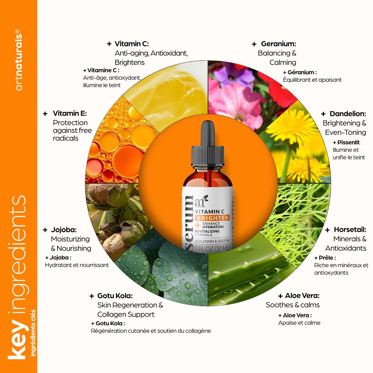 Artnaturals Anti-Aging Vitamin C Serum with Hyaluronic Acid and Vitamin E – 20% Vitamin C, 1 Fl Oz - görsel 6