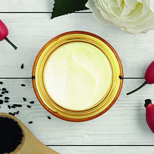 The Body Shop Oils of Life Intensely Revitalizing Cream – Lightweight Nourishing Face Moisturizer, 1.7 Fl Oz Avelisse