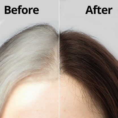 Daeng Gi Meo Ri Korean Herbal Hair Dye Color Cream - Natural Brown - PPD-Free Gray Coverage with High-Keratin Formula, 5 oz Avelisse